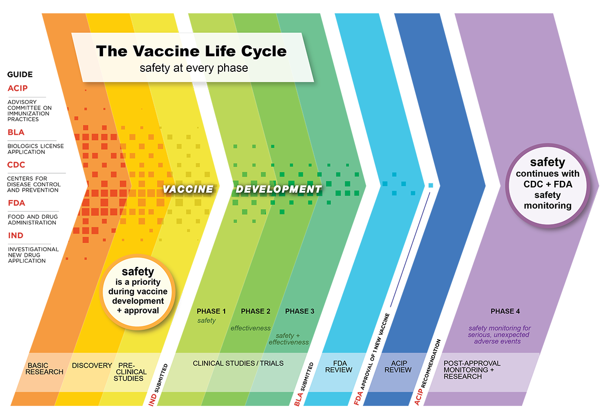 research on vaccine safety