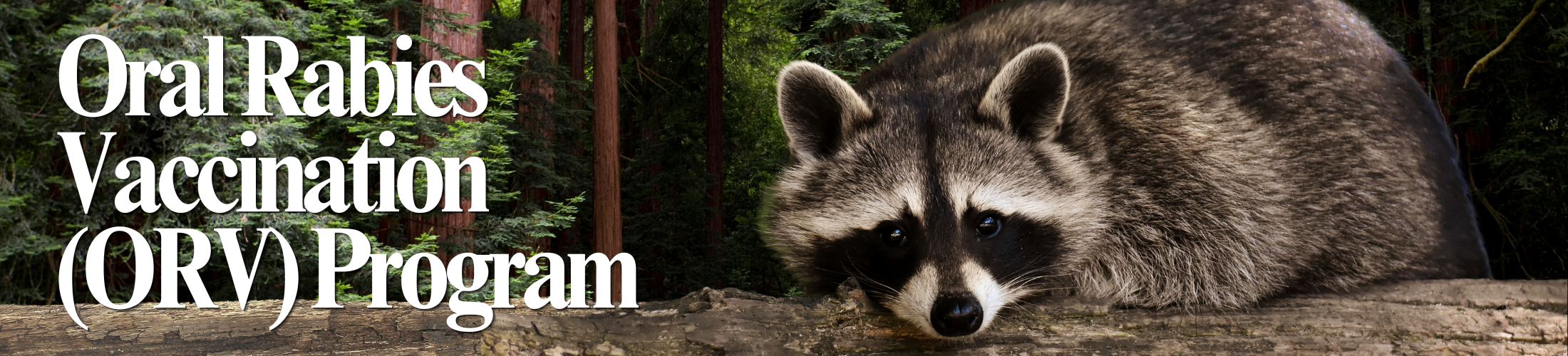 ORV Metaslider Oral Rabies Vaccination (ORV) Program